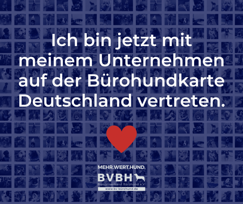 bvbh