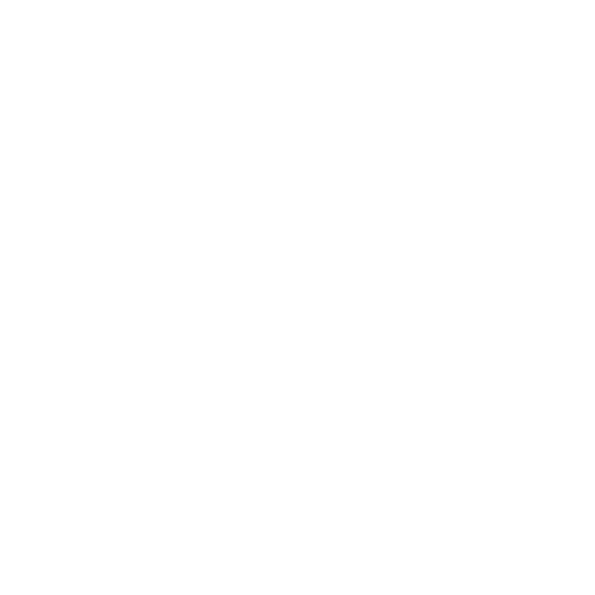 Karriere 2022 5 top ausbilder 2021 guetesiegel white