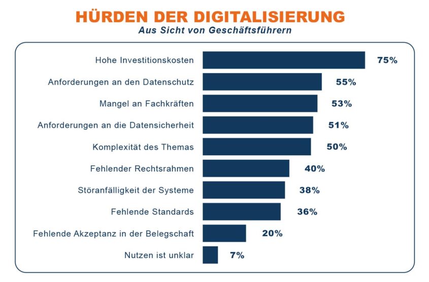 statistik digtalisierungshuerden