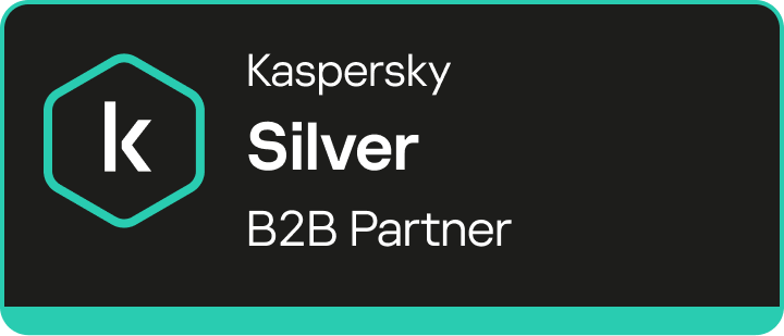 kaspersky b2b silver partner black